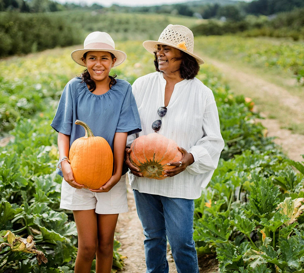 Optimized feed-grade additives, including Vitamin B12 and amino acids, to enhance livestock growth and bioavailability.