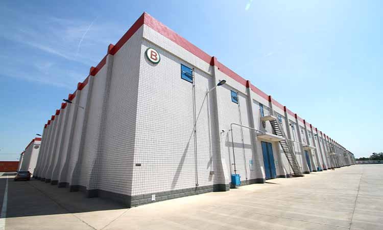 Reliable Delivery Across 60+ Countries. Details on automated warehousing capacity and inventory management. Explanation of export documentation handling. Information on customized packaging options (e.g., 25kg bags, bulk containers, customized palletizing).