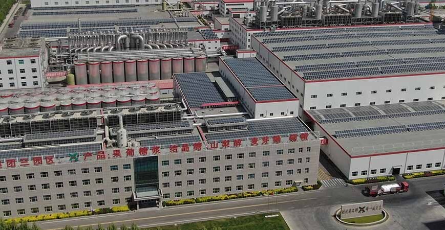 Our Manufacturing Footprint & Annual Output. Details on the total facility area and multi-zone layout. Key statistics on annual production capacity for core ingredients (e.g., 500,000 MT of dextrose products). Automation level overview.