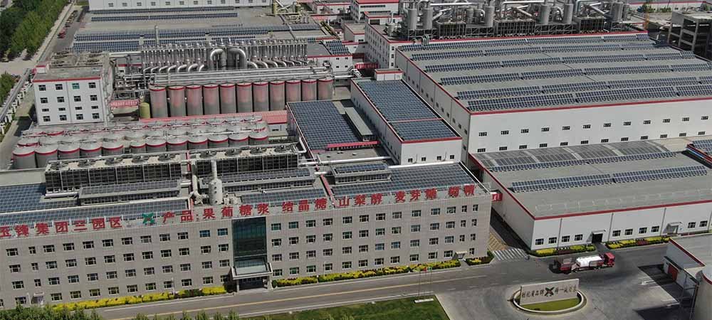 Our Manufacturing Footprint & Annual Output. Details on the total facility area and multi-zone layout. Key statistics on annual production capacity for core ingredients (e.g., 500,000 MT of dextrose products). Automation level overview.