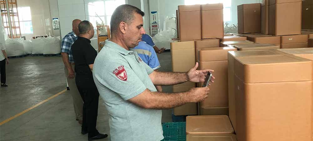 Case Study: Optimizing Formulation for Client X. A brief, non-confidential case study detailing a specific customer challenge (e.g., improving solubility) and how GJ Ingredients' tailored solution solved it. Focus on the collaborative R&D process and achieved results.