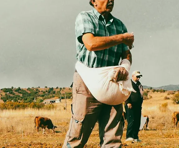 USP/EP/BP certified excipients and ingredients, ensuring the highest stability and purity for medical grade applications.