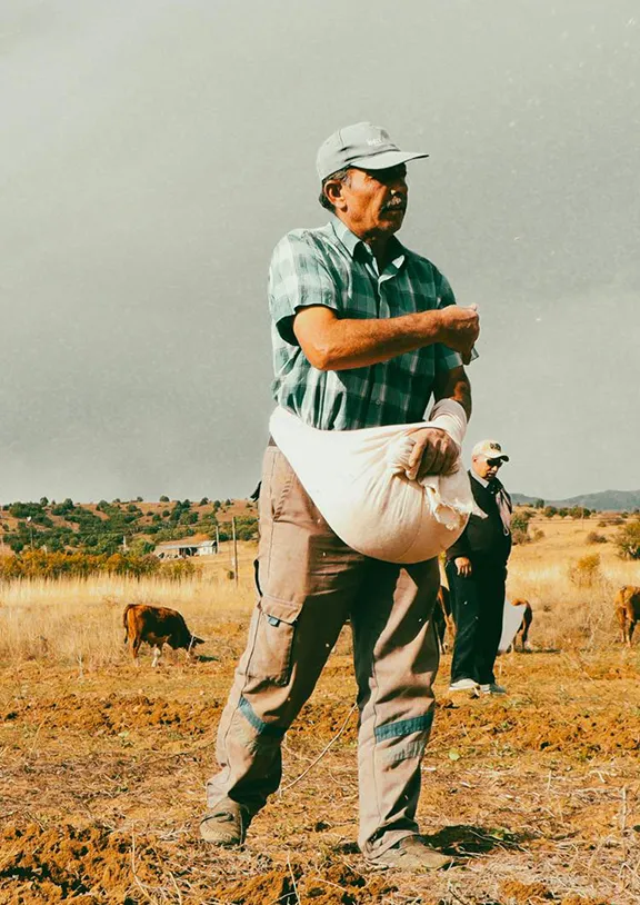 USP/EP/BP certified excipients and ingredients, ensuring the highest stability and purity for medical grade applications.