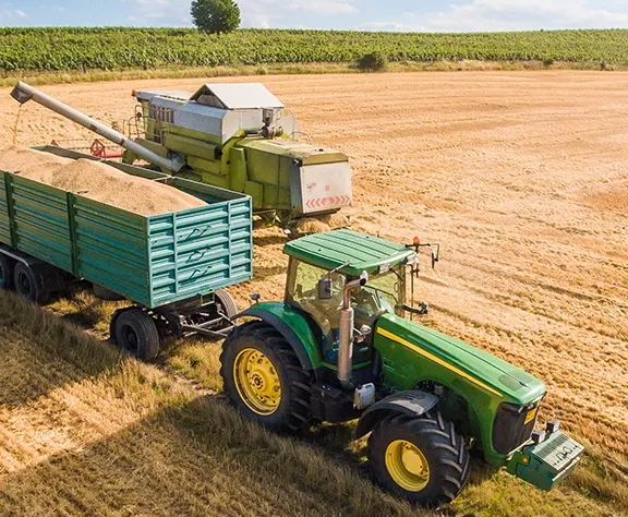 High-purity, non-GMO ingredients designed to enhance texture, mouthfeel, and stability in premium food formulations.