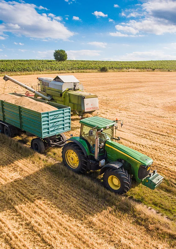 High-purity, non-GMO ingredients designed to enhance texture, mouthfeel, and stability in premium food formulations.