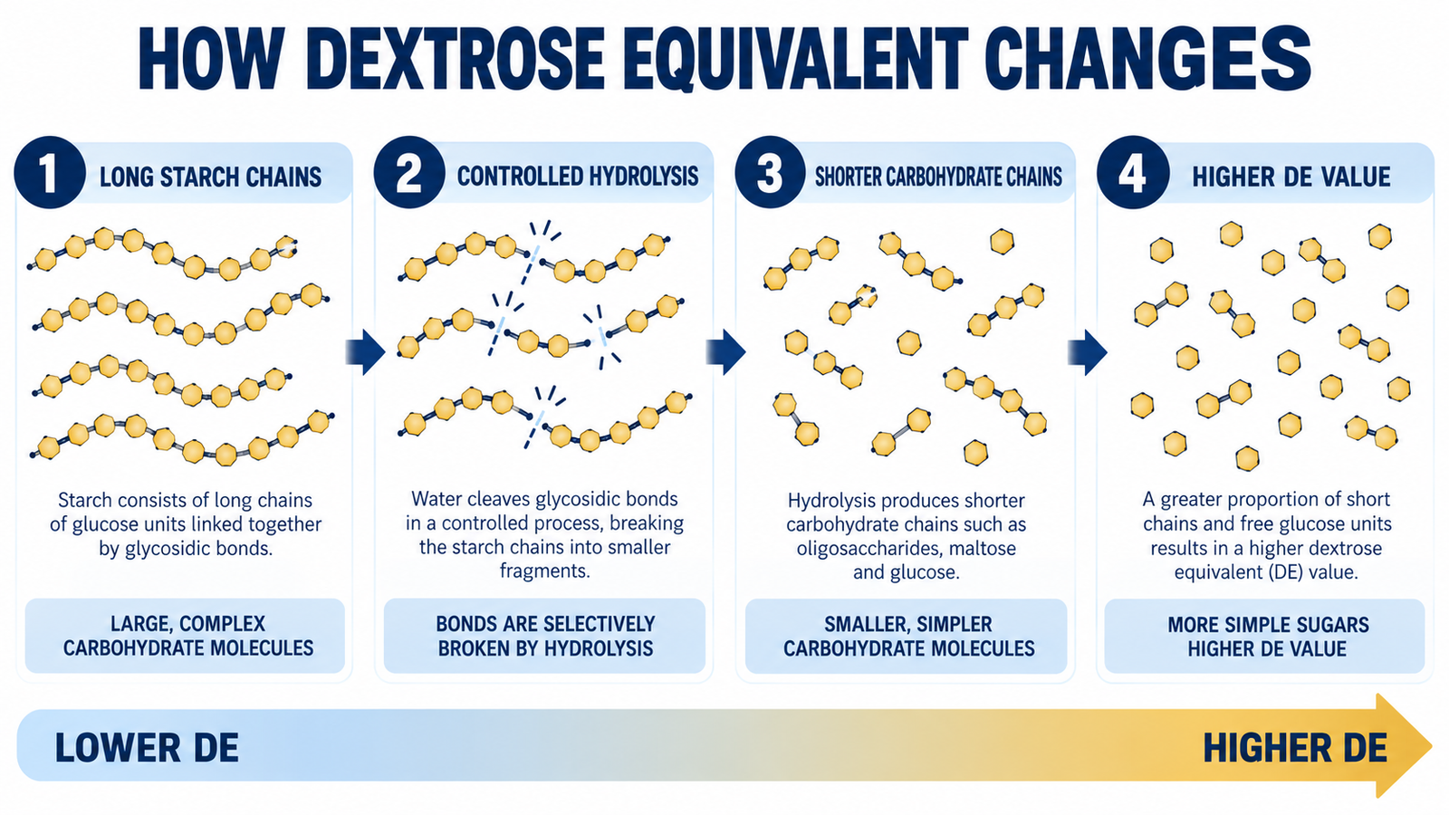 How dextrose equivalent changes during starch hydrolysis